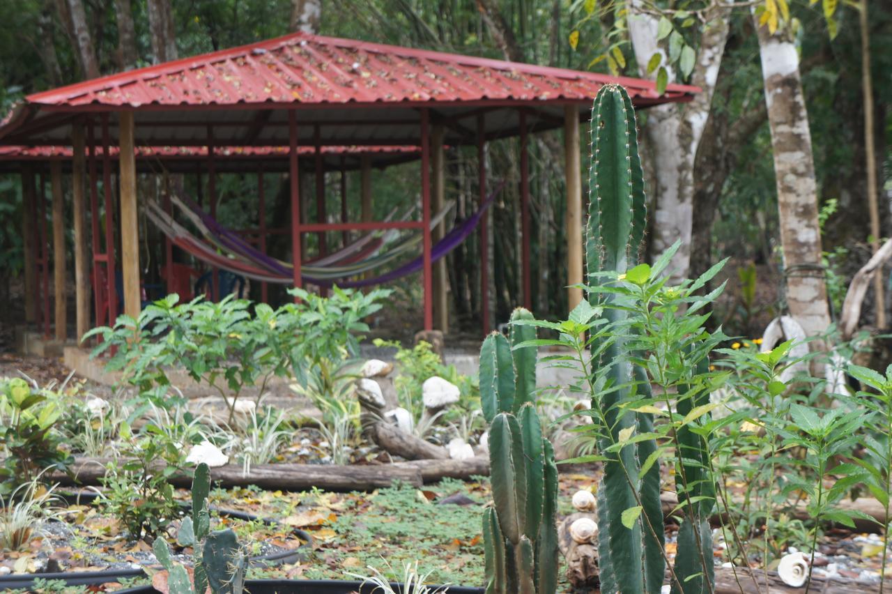 Cebaco Sunrise Lodge Isla Cebaco Ngoại thất bức ảnh